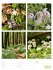 Farben der Natur Wochenplaner Kalender... - Bild 15