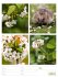 Farben der Natur Wochenplaner Kalender... - Bild 21