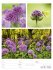 Farben der Natur Wochenplaner Kalender... - Bild 22