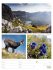 Farben der Natur Wochenplaner Kalender... - Bild 23