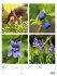Farben der Natur Wochenplaner Kalender... - Bild 26