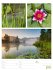 Farben der Natur Wochenplaner Kalender... - Bild 34