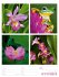Farben der Natur Wochenplaner Kalender... - Bild 43