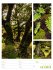 Farben der Natur Wochenplaner Kalender... - Bild 45