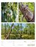 Farben der Natur Wochenplaner Kalender... - Bild 48