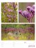 Farben der Natur Wochenplaner Kalender... - Bild 6