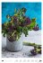 Essen Wochenkalender 2026 - Bild 50