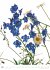 Best of Flora 2026 - Blumen-Kalender... - Bild 8