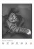DUMONTS Katzenkalender - Bild 6