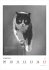 DUMONTS Katzenkalender - Bild 8