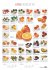 Food 2026 - Bildkalender 50x70 cm - mit... - Bild 2