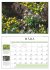 Garten-Kalender 2026 -... - Bild 3