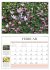 Garten-Kalender 2026 -... - Bild 4