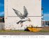 Banksy Kalender 2026 Premium... - Bild 11