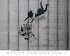 Banksy Kalender 2026 Premium... - Bild 4