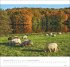 Schleswig-Holstein Edition Kalender... - Bild 11