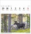Schweden Sehnsuchtskalender 2026 -... - Bild 9