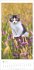 Katzen Kalender 2026 - Bild 11