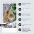 Katzen Kalender 2026 - Bild 14