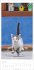Katzen Kalender 2026 - Bild 3
