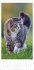 Katzen Kalender 2026 - Bild 4