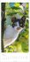 Katzen Kalender 2026 - Bild 5