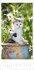 Katzen Kalender 2026 - Bild 8