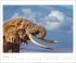 Elefanten Kalender 2026 - Bild 11