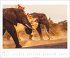 Elefanten Kalender 2026 - Bild 8