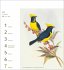 Vögel Postkartenkalender 2026 -... - Bild 5