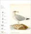 Vögel Postkartenkalender 2026 -... - Bild 10