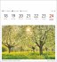 Bäume Postkartenkalender 2026 -... - Bild 2