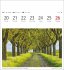 Bäume Postkartenkalender 2026 -... - Bild 12