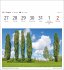 Bäume Postkartenkalender 2026 -... - Bild 13