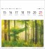 Bäume Postkartenkalender 2026 -... - Bild 7