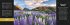 Naturparadiese Premium-Tischplaner 2026... - Bild 13