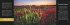 Naturparadiese Premium-Tischplaner 2026... - Bild 10