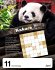 5 minutes to kill Tagesabreißkalender... - Bild 8