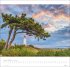 Am Meer Edition Kalender 2026 - Sand,... - Bild 5