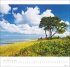 Am Meer Edition Kalender 2026 - Sand,... - Bild 7