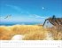 Mein kleines Haus am Meer Kalender 2026 - Bild 12