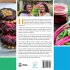 RAW FOOD RECIPES - Bild 2