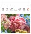 Blumenpracht Postkartenkalender 2026 -... - Bild 2