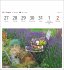 Blumenpracht Postkartenkalender 2026 -... - Bild 13