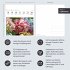 Blumenpracht Postkartenkalender 2026 -... - Bild 14
