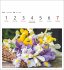 Blumenpracht Postkartenkalender 2026 -... - Bild 5