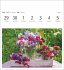Blumenpracht Postkartenkalender 2026 -... - Bild 9
