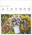Blumenpracht Postkartenkalender 2026 -... - Bild 10