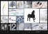 Colours of Nature Kalender 2026 - Bild 11