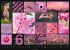 Colours of Nature Kalender 2026 - Bild 15